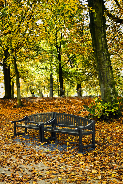 떨어짐 사람없음 JPG 포토 해외이미지 10월 11월 가을(계절) 갈색 계절 공원 나무 내추럴 노란색 맑음 벤치 빨간색 생태계 숲 에코 오렌지 잎 자연 재활용 초록색 컬러풀 플라스틱 해외202004 햇빛 황금