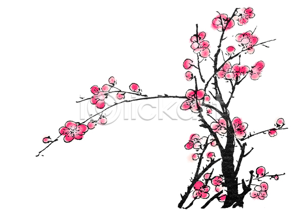 사람없음 JPG 포토 해외이미지 그림 꽃가지 동양화 먹 미술 번짐 벚꽃 붓터치 빨간색 해외202004