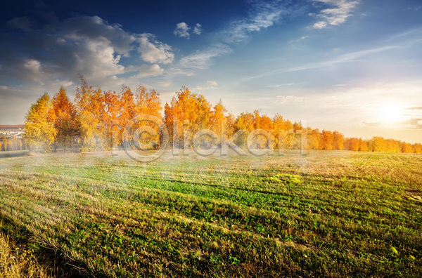 사람없음 JPG 포토 해외이미지 가을(계절) 가을풍경 나무 맑음 야외 자연 주간 초원(자연) 하늘 해외202004 햇빛