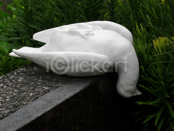평화 사람없음 JPG 포토 해외이미지 동물 묘사 바위 비둘기 신앙심 애도 장례 전통 조각상 조류 종교 죽음 해외202004 흰색