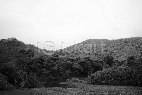 순수 신비 신선 평화 행운 사람없음 JPG 포토 해외이미지 흑백 나무 내추럴 산 생태계 열대우림 자연 중앙아메리카 초록색 파나마 풍경(경치) 해외202004 황무지