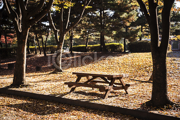 사람없음 JPG 포토 가을(계절) 경기도 공원 나무 낙엽 단풍 단풍나무 벤치 야외 인천 인천대공원 주간 풍경(경치)