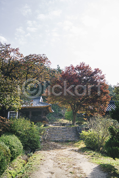 사람없음 JPG 포토 경상북도 계단 국내포토 군자마을 길 나무 안동 야외 전통 주간 풍경(경치) 하늘 한옥