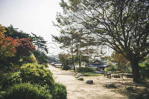 사람없음 JPG 포토 경상북도 군자마을 길 나무 바위 안동 야외 전통 주간 풍경(경치) 한국 한옥