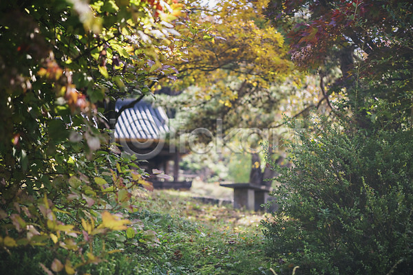 사람없음 JPG 아웃포커스 포토 경상북도 군자마을 나무 안동 야외 전통 주간 풍경(경치) 한국 한옥