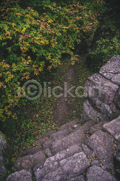 사람없음 JPG 포토 하이앵글 경상북도 계단 나무 단풍 등산로 봉화 야외 주간 청량산 풍경(경치) 한국
