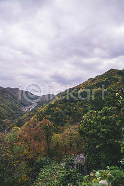사람없음 JPG 포토 경상북도 구름(자연) 나무 봉화 산 야외 주간 청량산 풍경(경치) 하늘 한국