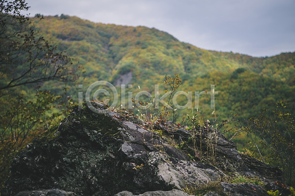 사람없음 JPG 포토 경상북도 나무 바위 봉화 산 야외 주간 청량산 풍경(경치) 한국