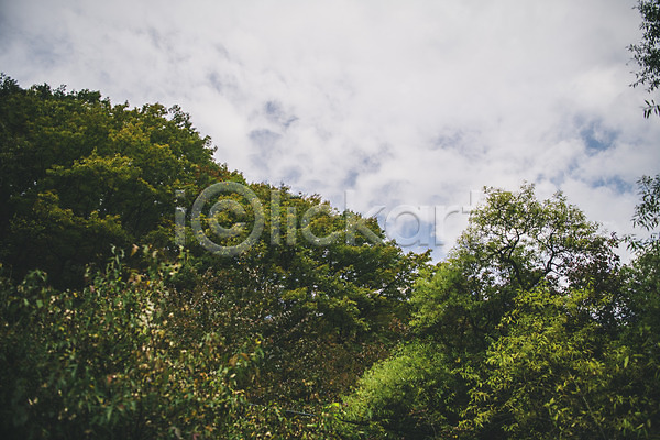 사람없음 JPG 포토 경상북도 구름(자연) 나무 봉화 산 야외 주간 청량산 풍경(경치) 하늘 한국