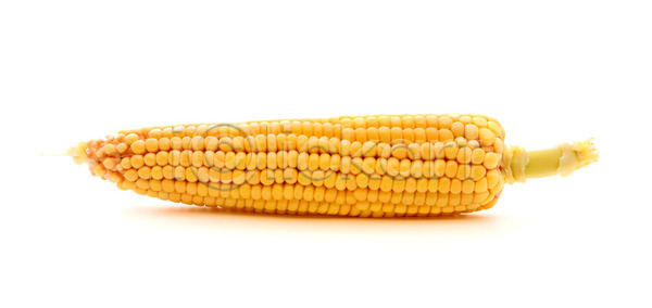 신선 사람없음 JPG 포토 해외이미지 가득함 가로 건강 고립 껍질 날것 노란색 농작물 먹기 식물 싱글 알맹이 오브젝트 옥수수 유기농 음식 줄서기 채소 초록색 해외202004 해외포토 황금 흰색