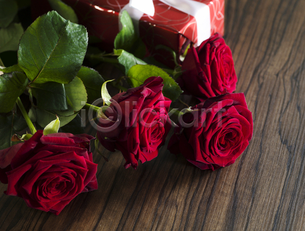 사람없음 JPG 포토 해외이미지 나무배경 발렌타인데이 빨간색 선물상자 오브젝트 장미