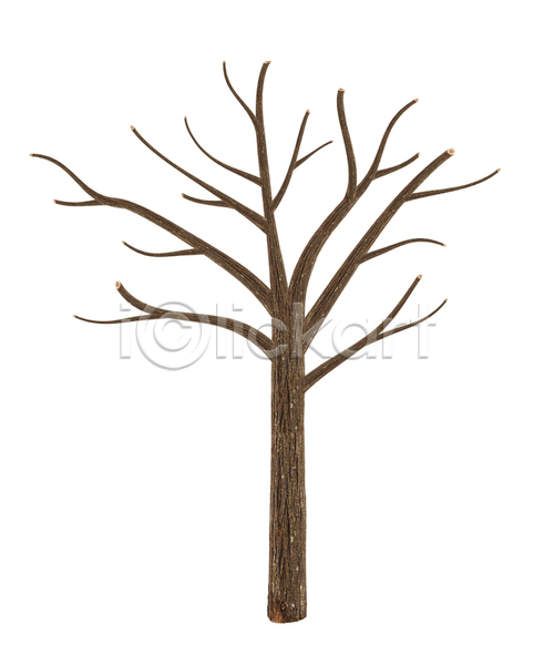 건조 사람없음 JPG 포토 해외이미지 가뭄 겨울 계절 고립 골격 나무 나무껍질 디자인 목재 자연 죽음 해외202004