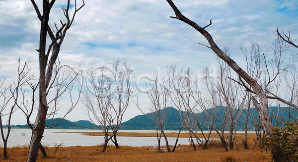 건조 사람없음 JPG 포토 해외이미지 계절 나무 물 백그라운드 산 언덕 자연 추상 컨셉 풍경(경치) 하늘 해외202004 호수