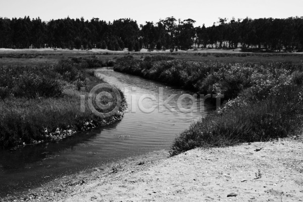 사람없음 JPG 포토 해외이미지 강 검은색 공원 꽃 나무 숲 식물 자연 해외202004 흰색