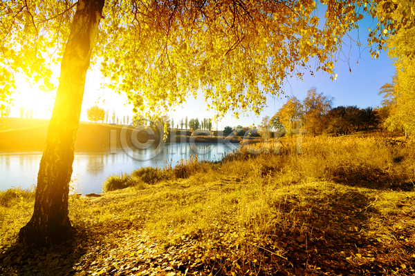 사람없음 JPG 포토 해외이미지 가을(계절) 가을풍경 강 나무 야외 자연 주간 하늘 해외202004 햇빛