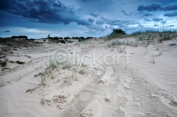 사람없음 JPG 포토 해외이미지 구름(자연) 날씨 네덜란드 모래 모래사장 모래언덕 모양 바람 시골 야외 언덕 자연 질감 파란색 풍경(경치) 하늘 해외202004