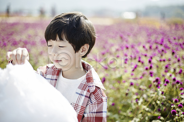 귀여움 남자 소년한명만 어린이 한국인 한명 JPG 앞모습 포토 꽃밭 미소(표정) 상반신 서기 솜사탕 야외 어린이라이프 주간