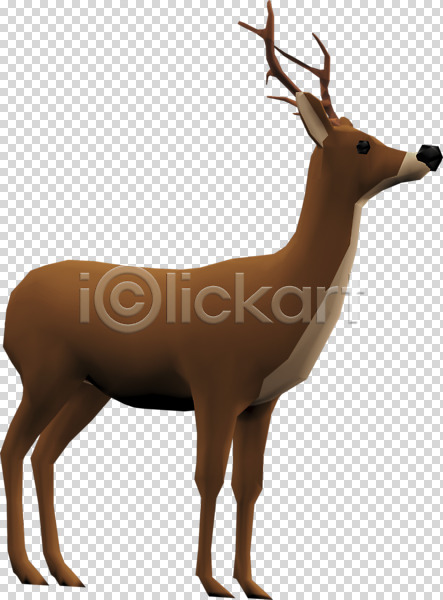 사람없음 3D PNG 디지털합성 입체 편집이미지 3D소스 동물 사슴 편집소스 한마리