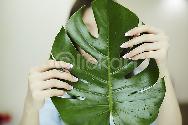 20대 신체부위 한국인 JPG 포토 나뭇잎 네일아트 들기 물방울 뷰티 손 손톱관리 실내 젤네일