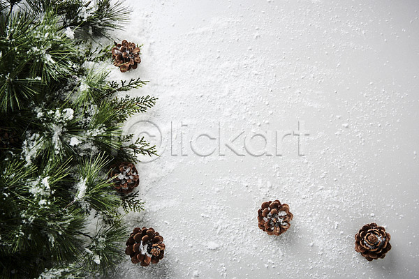 사람없음 JPG 포토 눈(날씨) 솔방울 스튜디오촬영 실내 오브젝트 전나무 크리스마스 크리스마스용품 프레임