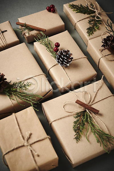 사람없음 JPG 포토 나뭇가지 나뭇잎 선물 솔방울 스튜디오촬영 실내 열매 오브젝트 크리스마스 크리스마스용품
