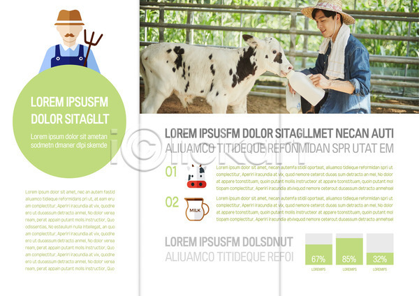 20대 남자 두명 성인 한국인 AI(파일형식) 템플릿 3단접지 내지 농부 리플렛 먹여주기 목장 북디자인 북커버 우유 젖소 청년농부 출판디자인 팜플렛 표지디자인