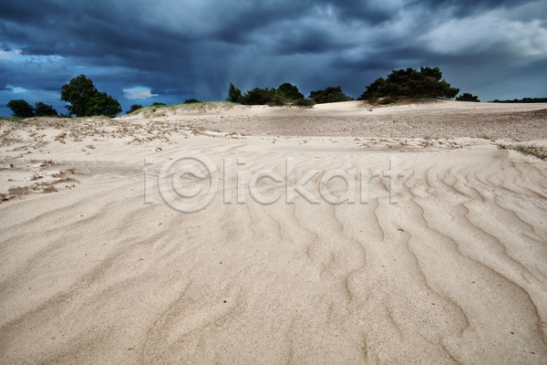 사람없음 JPG 포토 해외이미지 곡선 구름(자연) 나무 날씨 네덜란드 모래 모래사장 모래언덕 바람 백그라운드 사막 소나무 야외 언덕 자연 질감 파도 폭풍 풍경(경치) 하늘 해외202004