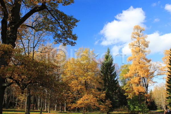 사람없음 JPG 포토 해외이미지 가을(계절) 공원 구름(자연) 나무 나뭇가지 해외202004