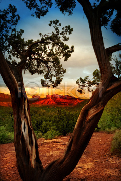 사람없음 JPG 포토 해외이미지 구름(자연) 나무 나뭇가지 미국 빨간색 사막 사암 새벽 애리조나 여행 일몰 자연 지질학 풍경(경치) 하늘 하이킹 해외202004