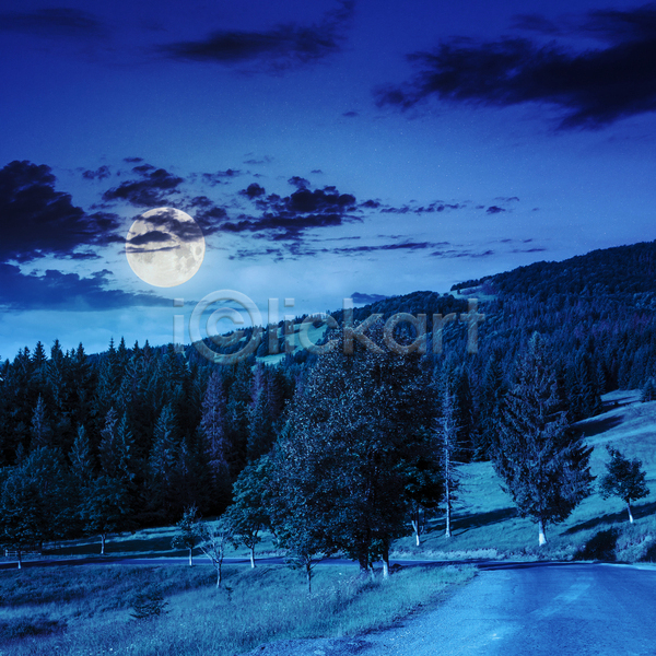 사람없음 JPG 포토 해외이미지 나무 달 보름달 야간 야외 파란색 풍경(경치) 하늘 해외202004
