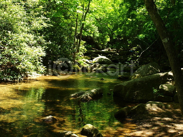 사람없음 JPG 포토 해외이미지 강 개울 물 바위 산 숲 시골 야외 자연 초록색 풍경(경치) 해외202004