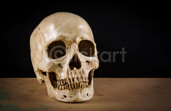 침묵 사람 사람없음 JPG 포토 해외이미지 골동품 과학 뇌 머리 모델 뼈 옛날 죽음 치아 컨셉 턱 할로윈 해골모형 해부 해외202004