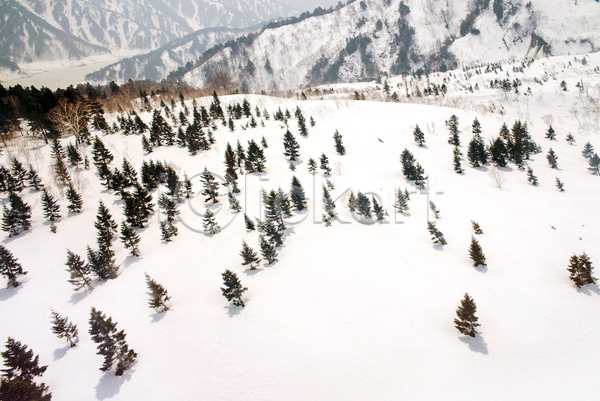 사람없음 JPG 포토 해외이미지 강 겨울 구름(자연) 나무 물 북극 산 삼림지대 알프스 우주 일본 절정 파란색 풍경(경치) 하늘 해외202004 흰색