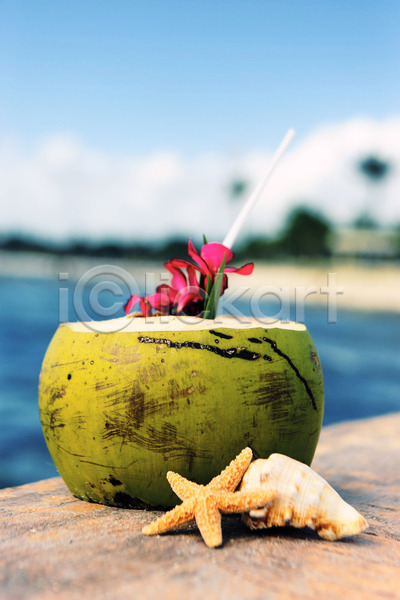 사람없음 JPG 아웃포커스 해외이미지 바다 빨대 야외 여름(계절) 열대꽃 잎 조개껍데기 코코넛주스