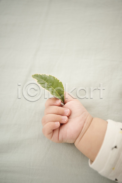 남자 남자아기한명만 아기 한명 JPG 포토 나뭇잎 눕기 상반신 손 실내 잡기 침대