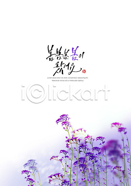 감성 사람없음 PSD 일러스트 꽃 들꽃 백그라운드 보라색 봄 캘리그라피 포스터