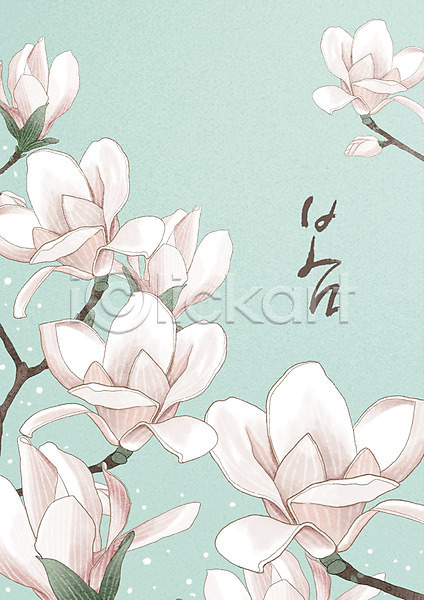 사람없음 PSD 일러스트 꽃무늬 목련 백그라운드 봄 봄배경 캘리그라피 프레임 플라워패턴 한글 흰색