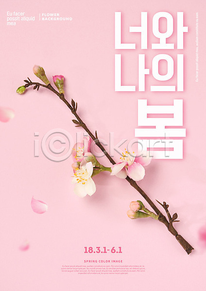 사람없음 PSD 편집이미지 꽃 나뭇가지 벚꽃 봄 분홍색 타이포그라피 포스터 한글