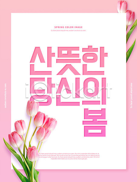 사람없음 PSD 편집이미지 꽃 봄 분홍색 사각프레임 타이포그라피 튤립 포스터 프레임 한글
