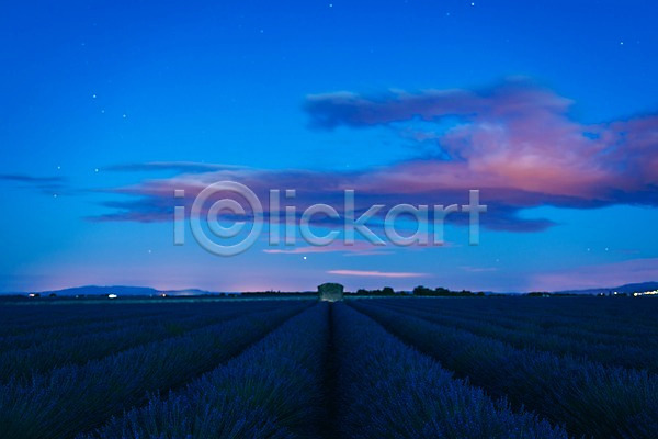 사람없음 JPG 포토 구름(자연) 라벤더 밭 새벽 야간 야외 유럽 유럽풍경 풍경(경치) 프랑스 프로방스 하늘