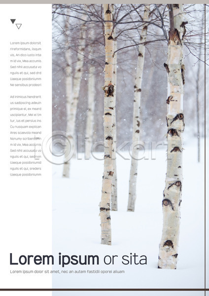 사람없음 AI(파일형식) 문서템플릿 템플릿 겨울 나무 눈(날씨) 레이아웃 문서 서식 제안서 표지 프레젠테이션