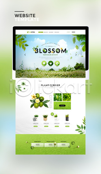 사람없음 PSD 사이트템플릿 웹템플릿 템플릿 꽃 라임 봄 식물 연두색 잎 태블릿 홈페이지 홈페이지시안 화분