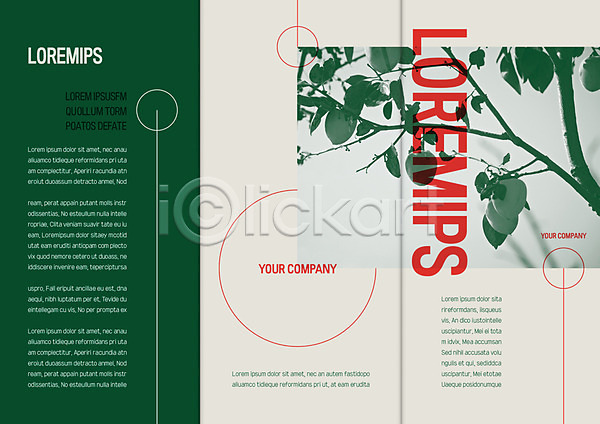 사람없음 AI(파일형식) 템플릿 3단접지 가을(계절) 감 감나무 나뭇가지 리플렛 북디자인 북커버 열매 자연 출판디자인 팜플렛 표지 표지디자인