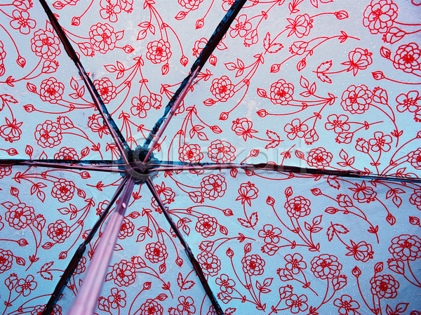 보호 사람없음 JPG 포토 해외이미지 꽃 꽃무늬 날씨 덮개 디자인 물 물방울 미신 바비큐립 분홍색 빗방울 빨간색 아크릴 양산 오픈 우산 젖음 철사 터키석 파란색 패널 패턴 해외202004