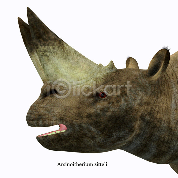 사람없음 3D JPG 포토 해외이미지 그림 동물 머리 멸종 생물 선사시대 아프리카 원시시대 척추동물 초식 초식동물 코뿔소 큼 포유류 해외202004