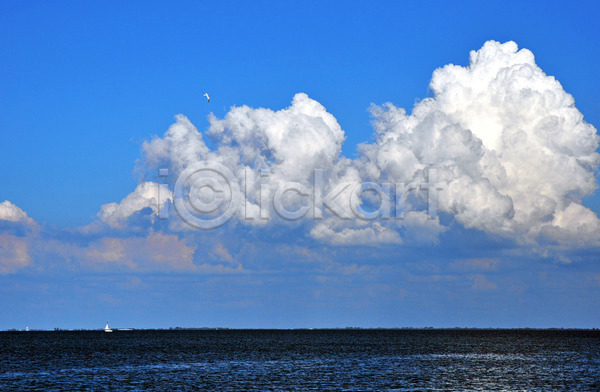 따뜻함 사람없음 JPG 포토 해외이미지 갈매기 구름(자연) 물 바다 보트 여름(계절) 요트 자연 조류 파란색 포트 하늘 해외202004 흰색