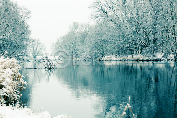 사람없음 JPG 포토 해외이미지 강 겨울 겨울풍경 나무 모스크바 반사 야외 자연 주간 하늘 해외202004