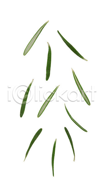 신선 사람없음 JPG 포토 해외이미지 고립 나뭇가지 날것 다발 로즈메리 맛 백그라운드 요리 음식 잎 재료 초록색 해외202004 향신료 허브 흰색