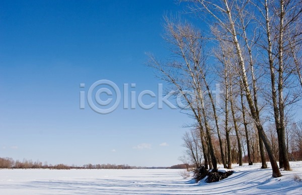 추위 사람없음 JPG 포토 해외이미지 강 강가 겨울 공원 나무 물 야외 얼음 여행 자연 풍경(경치) 하늘 해외202004