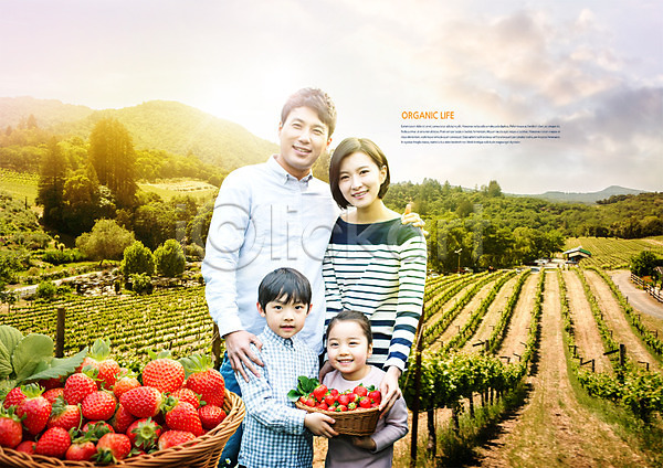 30대 남자 어린이 여러명 여자 한국인 PSD 편집이미지 가족 광고편집 구름(자연) 농부 농사 딸기 바구니 밭 수확 유기농 편집 하늘